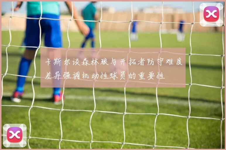 卡斯尔谈森林狼与开拓者防守难度差异强调机动性球员的重要性